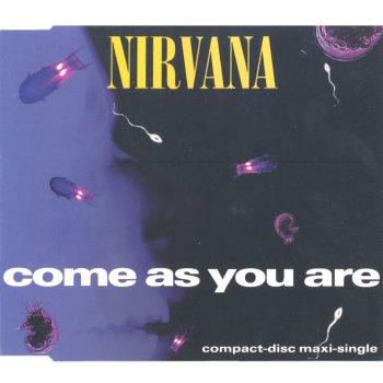 Nirvana Come as you are - cover