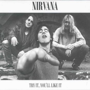 Nirvana Try it, You'll like it - cover