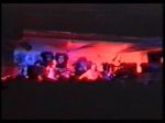 Nirvana Bloom - video still
