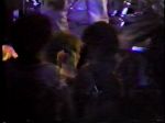 Nirvana Kennel Club - video still