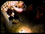 Nirvana Iguana's #1 - video still
