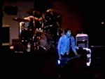 Nirvana Cow palace #2 - video still