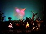 Nirvana Oakland Coliseum Arena - video still