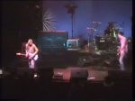 Nirvana Palaghiaccio #2 - video still